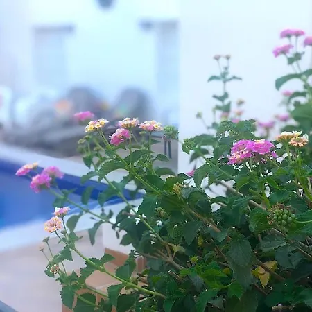 The Luxury At Pleamar 30 Rental, Punta Prima, * Torrevieja